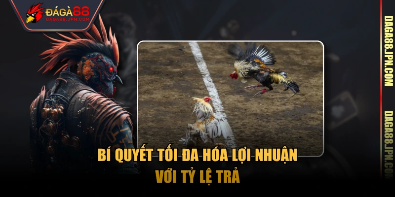 Bí quyết tối đa hóa lợi nhuận với tỷ lệ trả