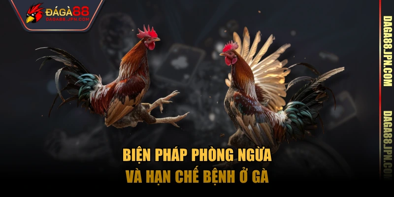 Biện pháp phòng ngừa và hạn chế bệnh ở gà