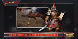 Các Kèo Cược Đá Gà