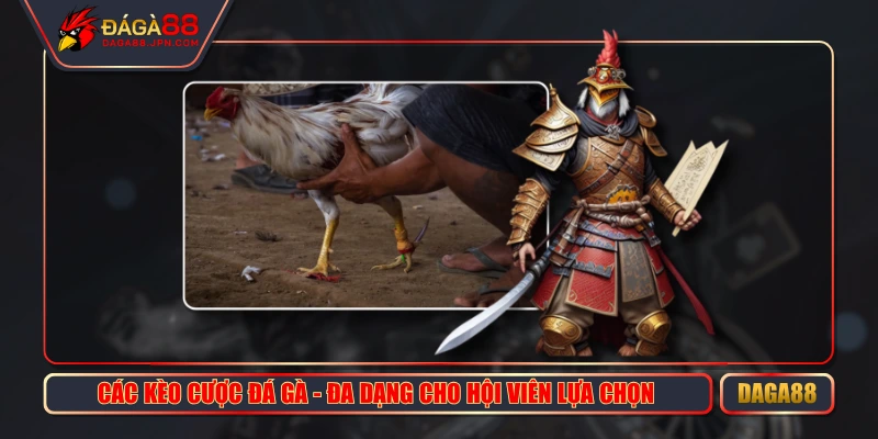 Các Kèo Cược Đá Gà