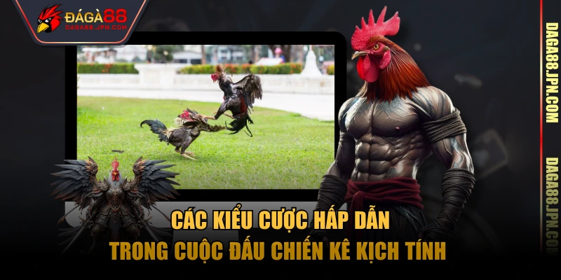 Các kiểu cược hấp dẫn trong cuộc đấu chiến kê kịch tính 