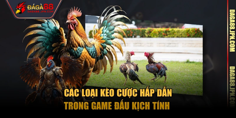 Các loại kèo cược hấp dẫn trong game đấu kịch tính 
