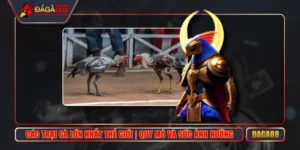 Các Trại Gà Lớn Nhất Thế Giới