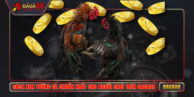 Cách Xem Tướng Gà