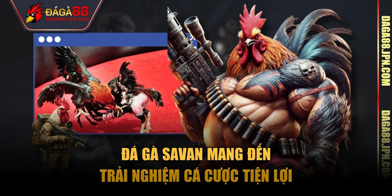 Đá gà Savan mang đến trải nghiệm cá cược tiện lợi