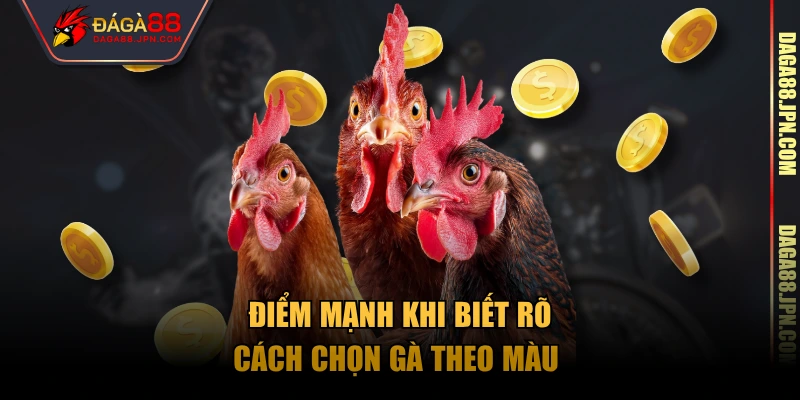 Điểm mạnh khi biết rõ cách chọn gà theo màu 
