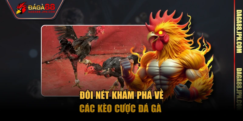 Đôi nét khám phá về các kèo cược đá gà 