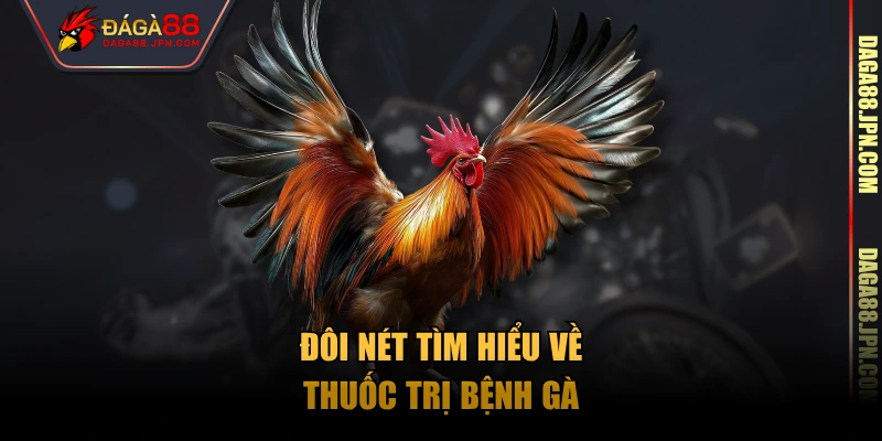 Đôi nét tìm hiểu về thuốc trị bệnh gà