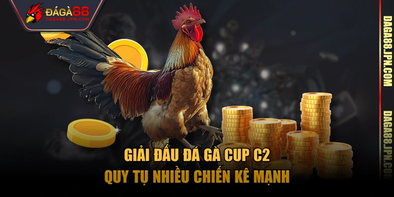Giải đấu đá gà Cup C2 quy tụ nhiều chiến kê mạnh