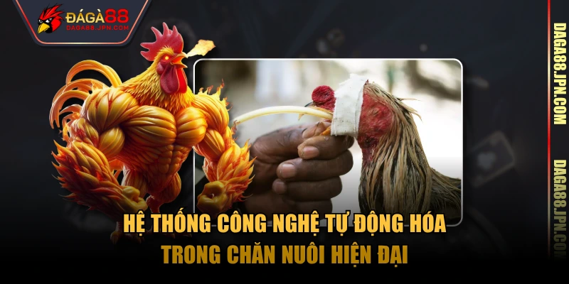 Hệ thống công nghệ tự động hóa trong chăn nuôi hiện đại