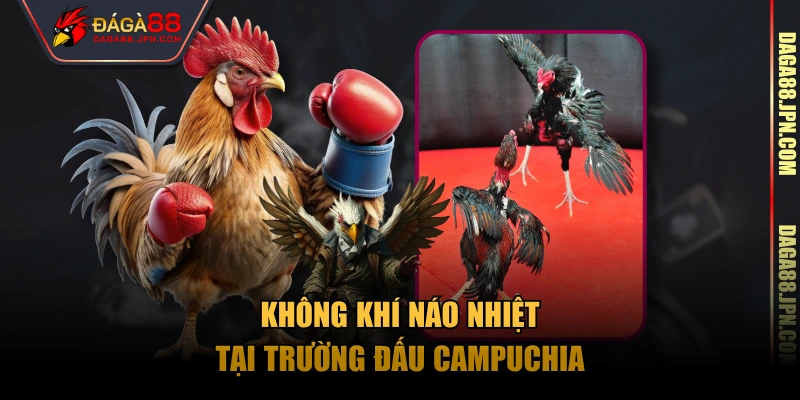 Không khí náo nhiệt tại trường đấu Campuchia
