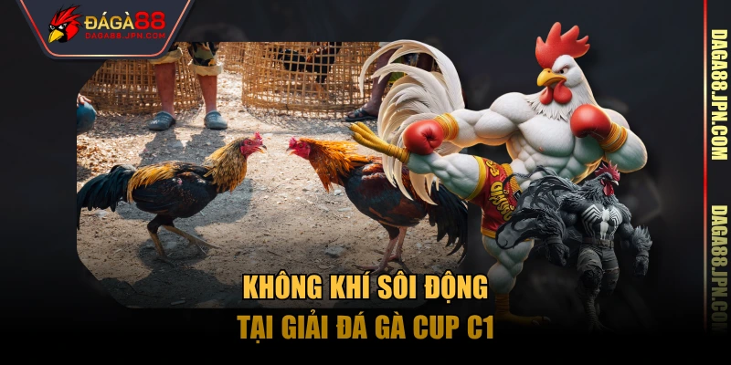 Không khí sôi động tại giải đá gà cup C1