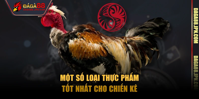 Một số loại thực phẩm tốt nhất cho chiến kê