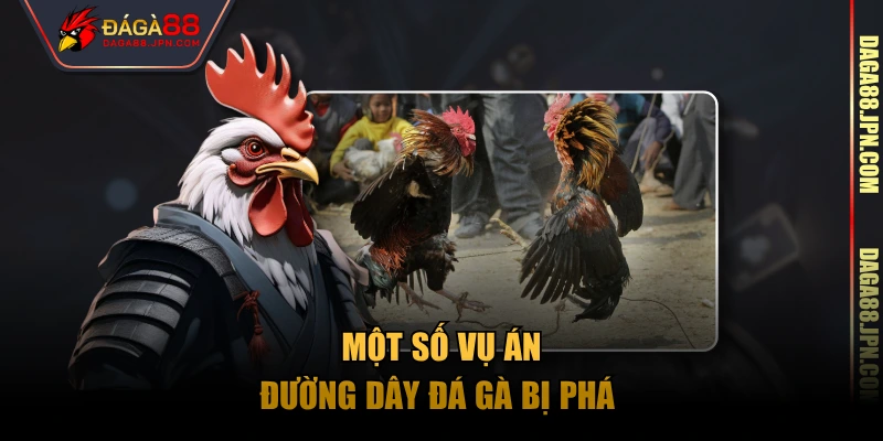Một số vụ án đường dây đá gà bị phá 