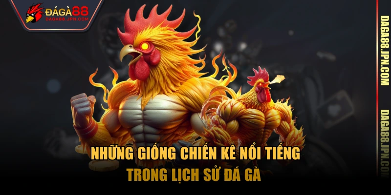 Những giống chiến kê nổi tiếng trong lịch sử đá gà 
