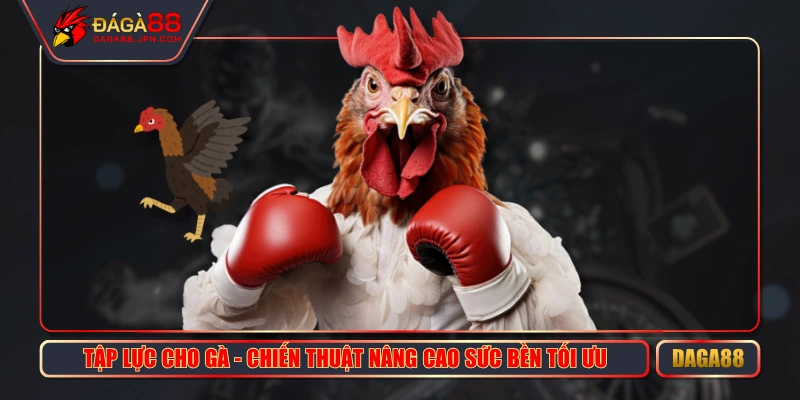 Tập Lực Cho Gà