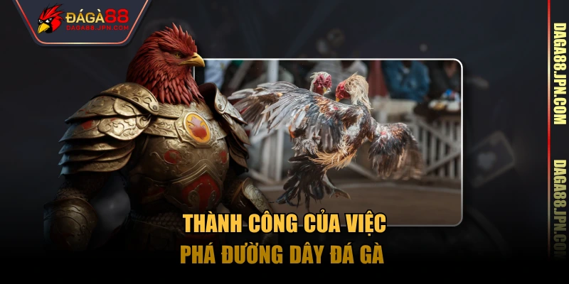 Thành công của việc phá đường dây đá gà 