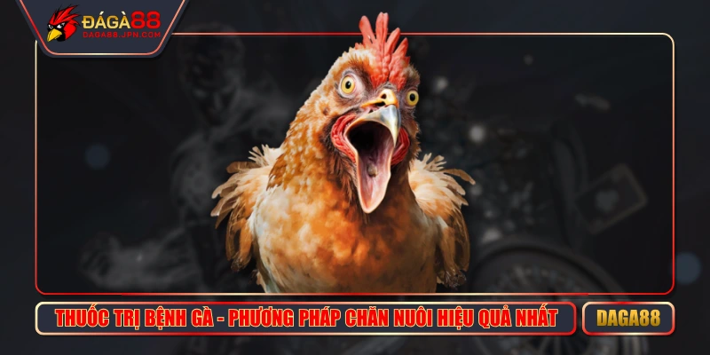 Thuốc Trị Bệnh Gà