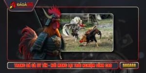 Trang Đá Gà Uy Tín