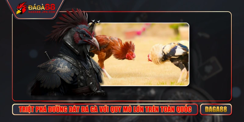 Triệt Phá Đường Dây Đá Gà