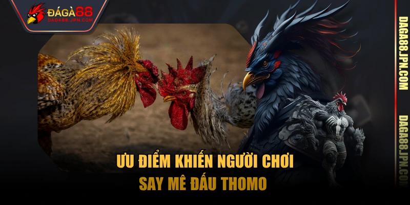 Ưu điểm khiến người chơi say mê đấu Thomo 
