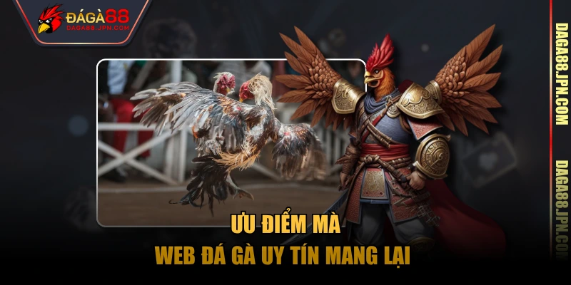 Ưu điểm mà web đá gà uy tín mang lại 