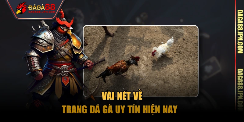 Vài nét về trang đá gà uy tín hiện nay  