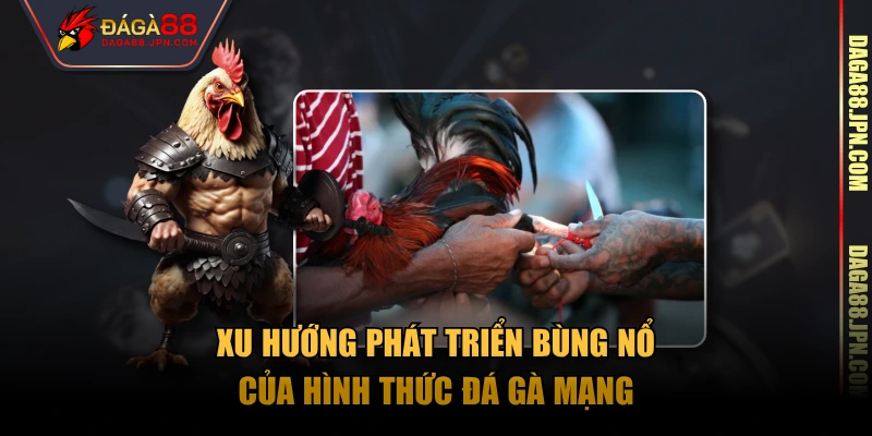 Xu hướng phát triển bùng nổ của hình thức đá gà mạng